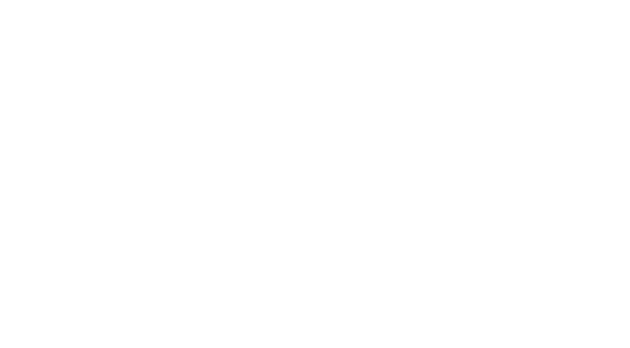 出海达人 营销白皮书